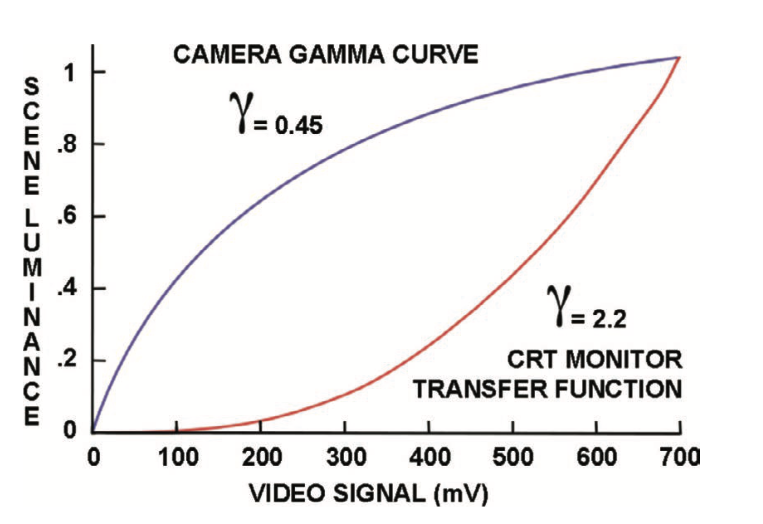 Screenshot 2025-10-03 alle 15.23.23 Camera gamma vs gamma 2.2